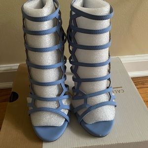 Periwinkle call it spring heels